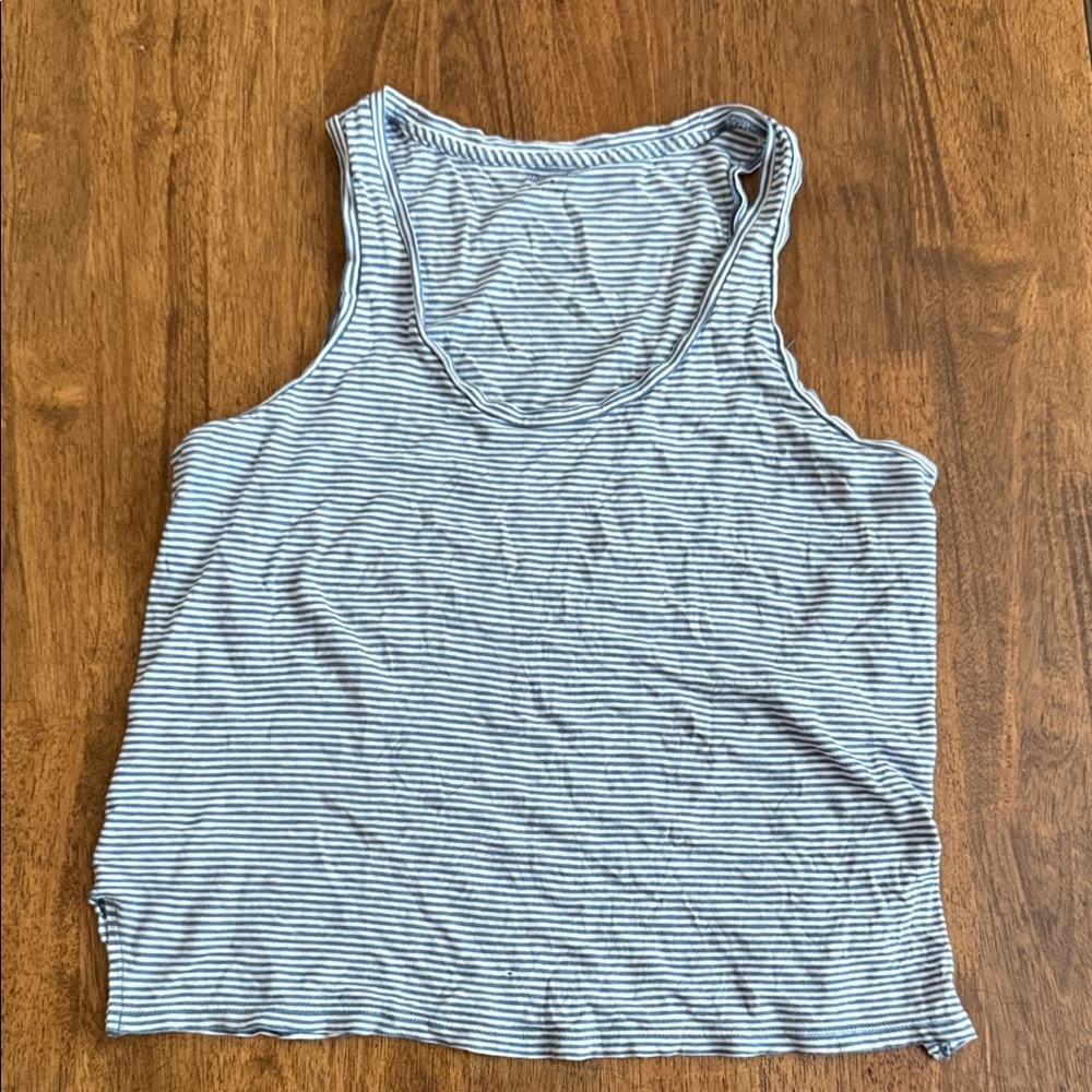 Madewell Blue and White Striped Tank Top